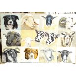 Clive Fredriksson, large oil on canvas, studies of farm animals, 122cm x 183cm