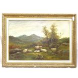 Oil on canvas, circa 1900, sheep in landscape, unsigned, canvas 51cm x 77cm, framed
