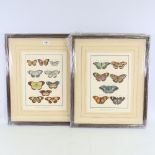 A pair of colour prints, butterfly studies, modern frames, overall frame dimensions 21" x 17" Very