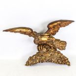 A carved giltwood eagle pediment, probably 18th century, wingspan 56cm
