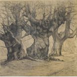 Henry Winslow, etching, oak trees, signed in pencil, plate 25cm x 25cm Slight paper discolouration