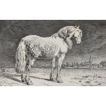 After Paul Potter, engraving, the Frisian horse, signed in the plate, image 15cm x 22.5cm, mounted