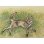 Timothy Greenwood (1946 - 2010), watercolour, fox in the grass, signed, 23cm x 32cm, framed Good