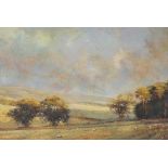 20th century watercolour, sheep in extensive landscape, unsigned, 24cm x 34cm, framed Very good