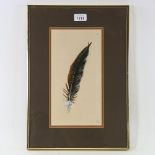 A detailed watercolour study of a feather, signed with monogram, dated 1975, 15cm x 29cm, framed