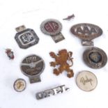 A tray of car badges, including Institute of Transport and RAC