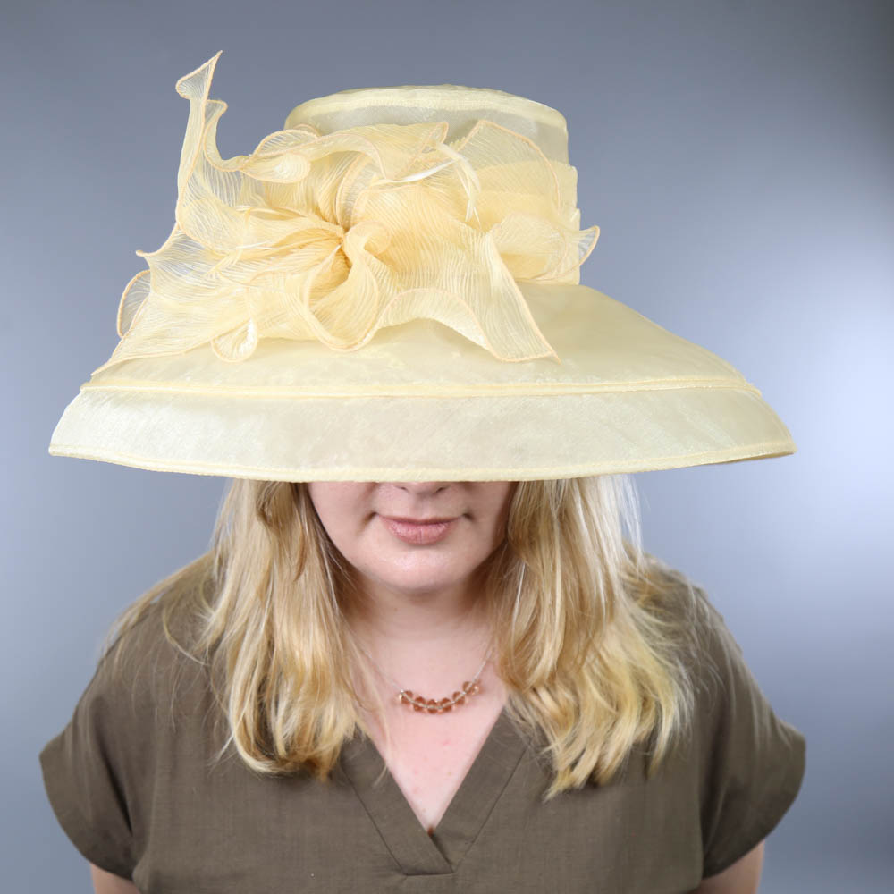 SUZANNE BETTLEY - Champagne occasion hat, with feather and frill detail, new with tags (Henley Royal - Image 7 of 7