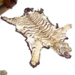 TAXIDERMY - a tiger skin rug, early 20th century, modelled with head bearing teeth, on felt backing