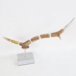 Chris Watson, mixed media sculpture, antler, length approx 41cm