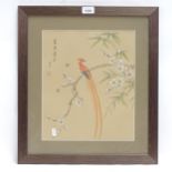 A Chinese hand coloured print, bird of paradise, 29cm x 35cm, framed