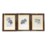 A pair of coloured engravings, hunting studies, and 3 prints, dog studies, framed (5)