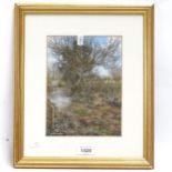 John Hughes, pastel, the white bridge, winter landscape, signed, 20cm x 15cm, framed