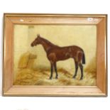 George Paice (1854 - 1925), oil on canvas, race horse portrait, signed and dated '97, 50cm x 68cm,