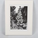 John Nash (1893 - 1977), limited edition woodcut on paper, Foxglove, from Poisonous Plants, 1927, 6"