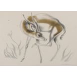 John Skeaping, lithograph, antelope, signed in the plate, 14" x 18", framed A few brown specks under