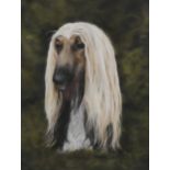 Natalie Swan, coloured pastels, portrait of a dog, signed, 25" x 19", framed Very good condition