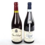 2 bottles of Burgundy wine, 2002 Nuits-St-Georges, Emmanuel Rouget and 2004 Pinot Noir "Les