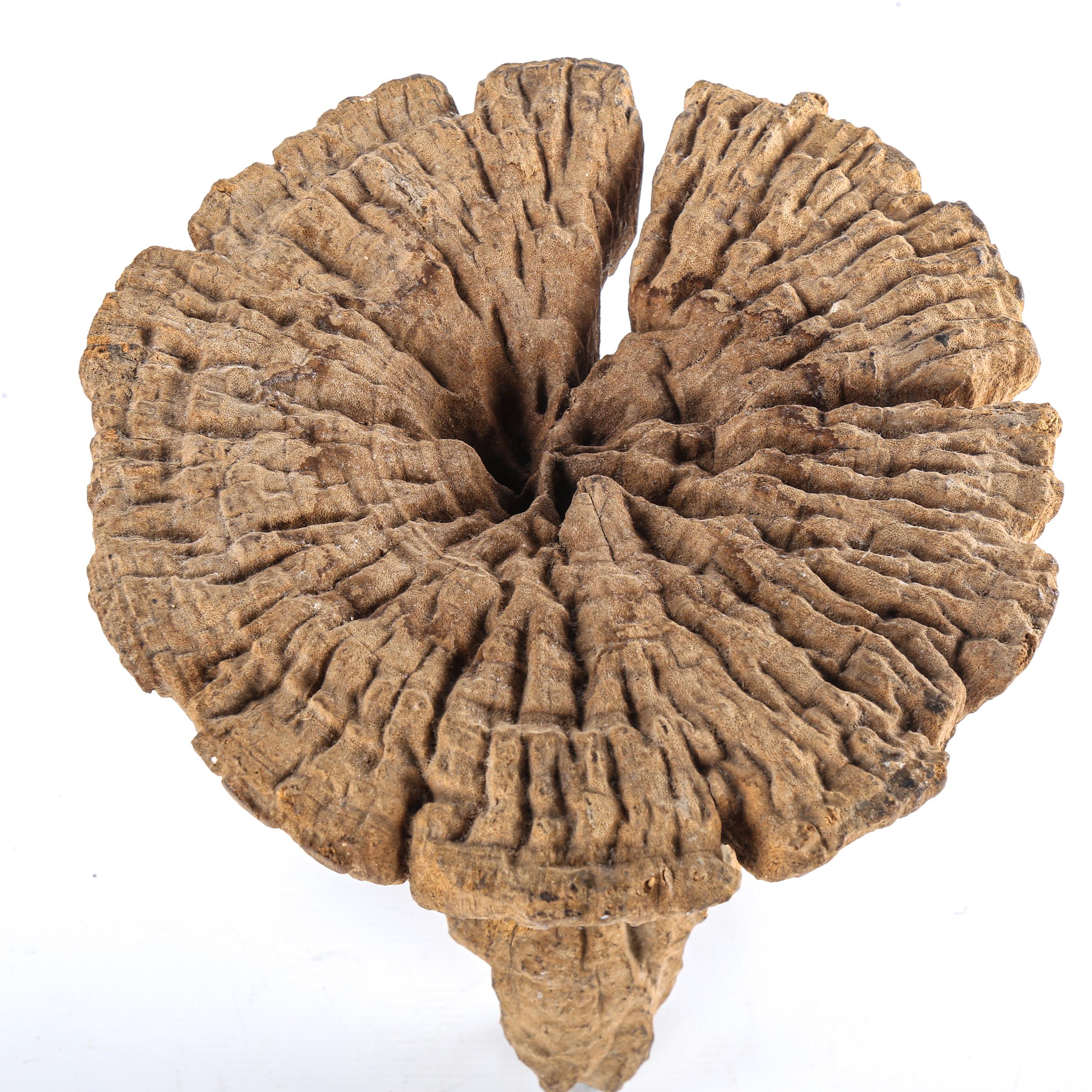 Dogon termite wood stool, height 30cm, diameter 27cm - Image 2 of 3