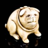 A Japanese ivory netsuke in the form of a dog, in the manner of Ohara Mitsuhiro, unsigned, height