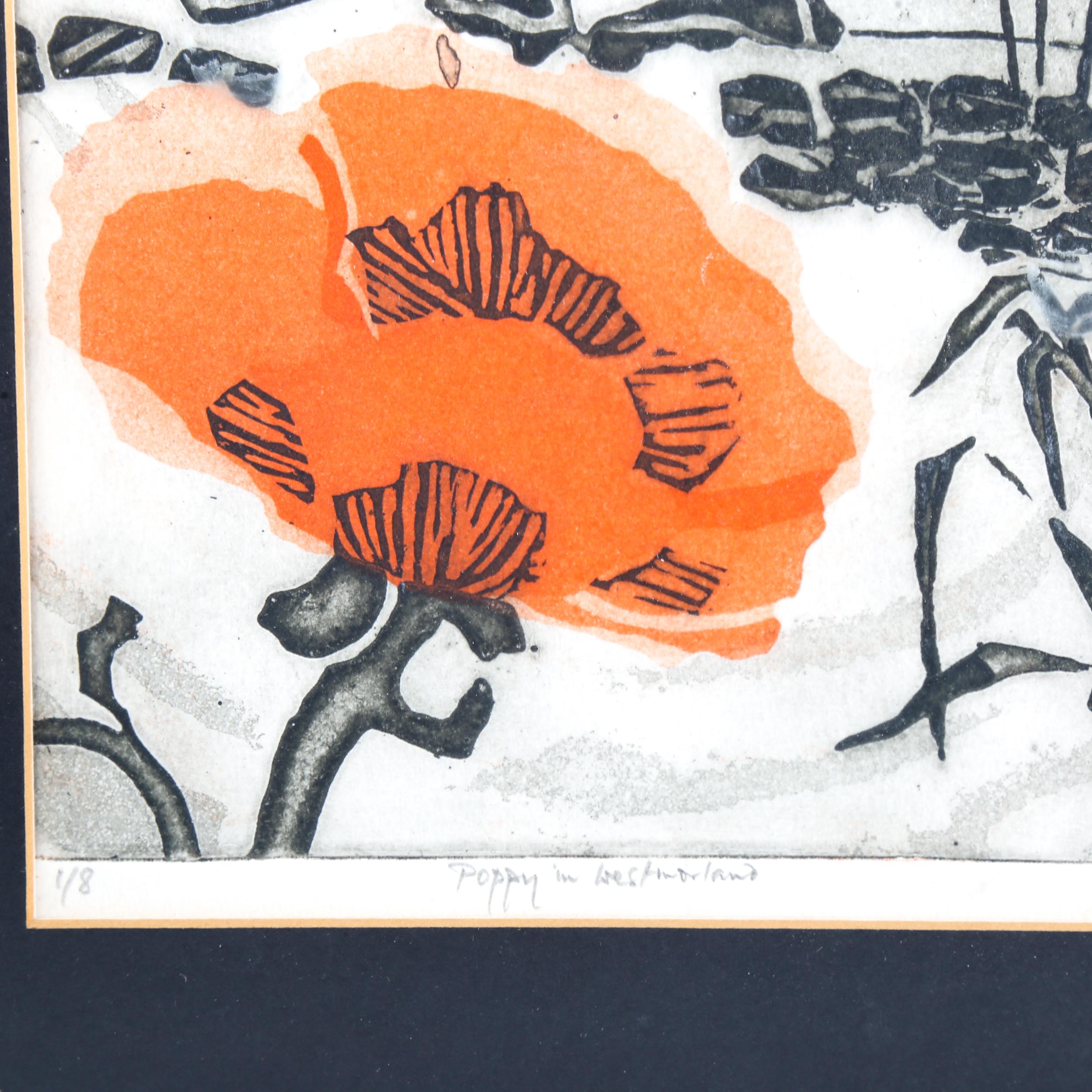 Susan Henderson, coloured etching, poppy in Westmorland, signed in pencil, no. 1/8, image 18cm x - Image 4 of 4