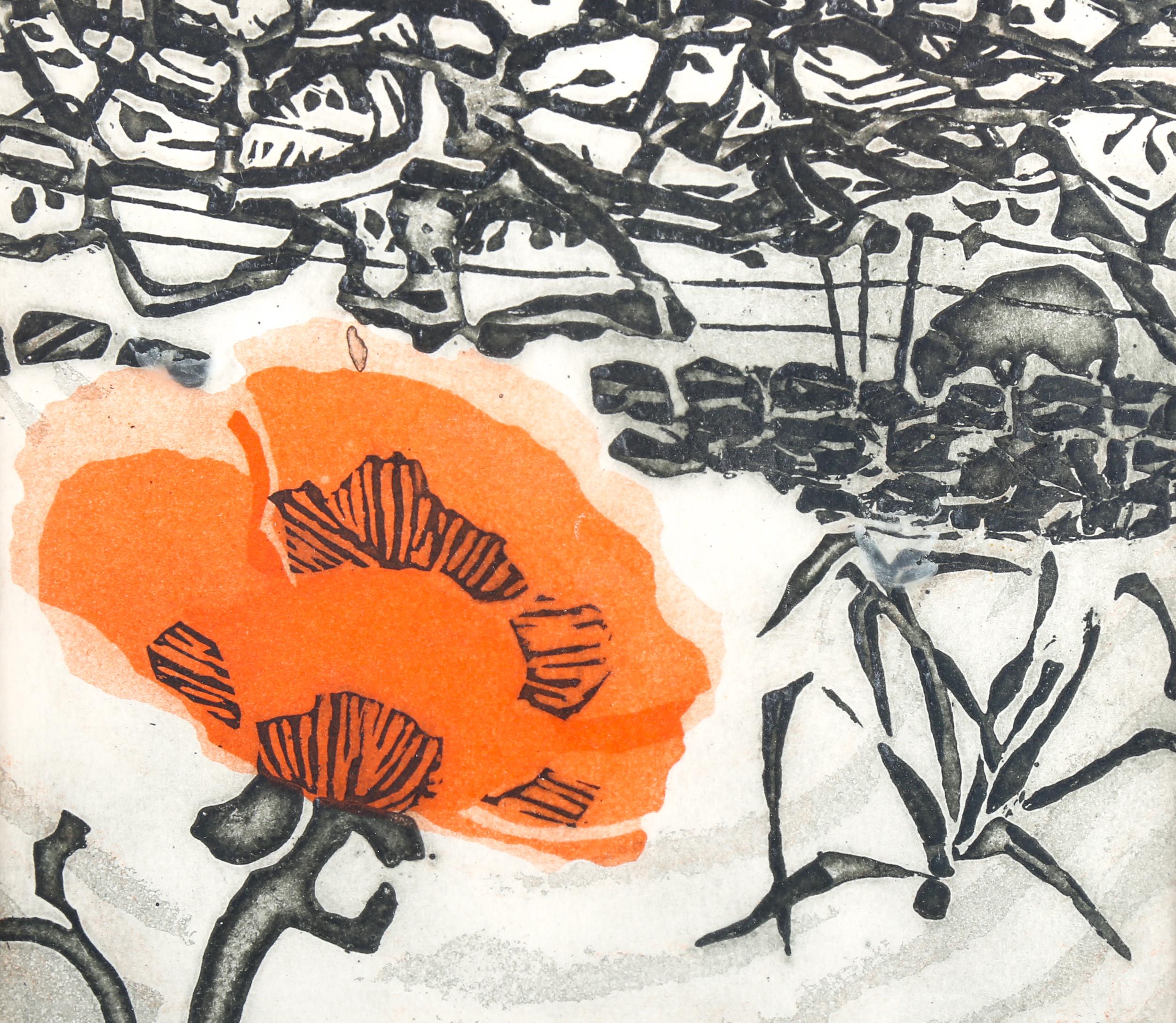 Susan Henderson, coloured etching, poppy in Westmorland, signed in pencil, no. 1/8, image 18cm x