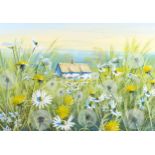 Paul Evans, watercolour, gouache, meadow flowers, signed, 32cm x 46cm, framed Very good condition