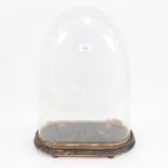A large Victorian glass dome on oblong plinth, height 49cm