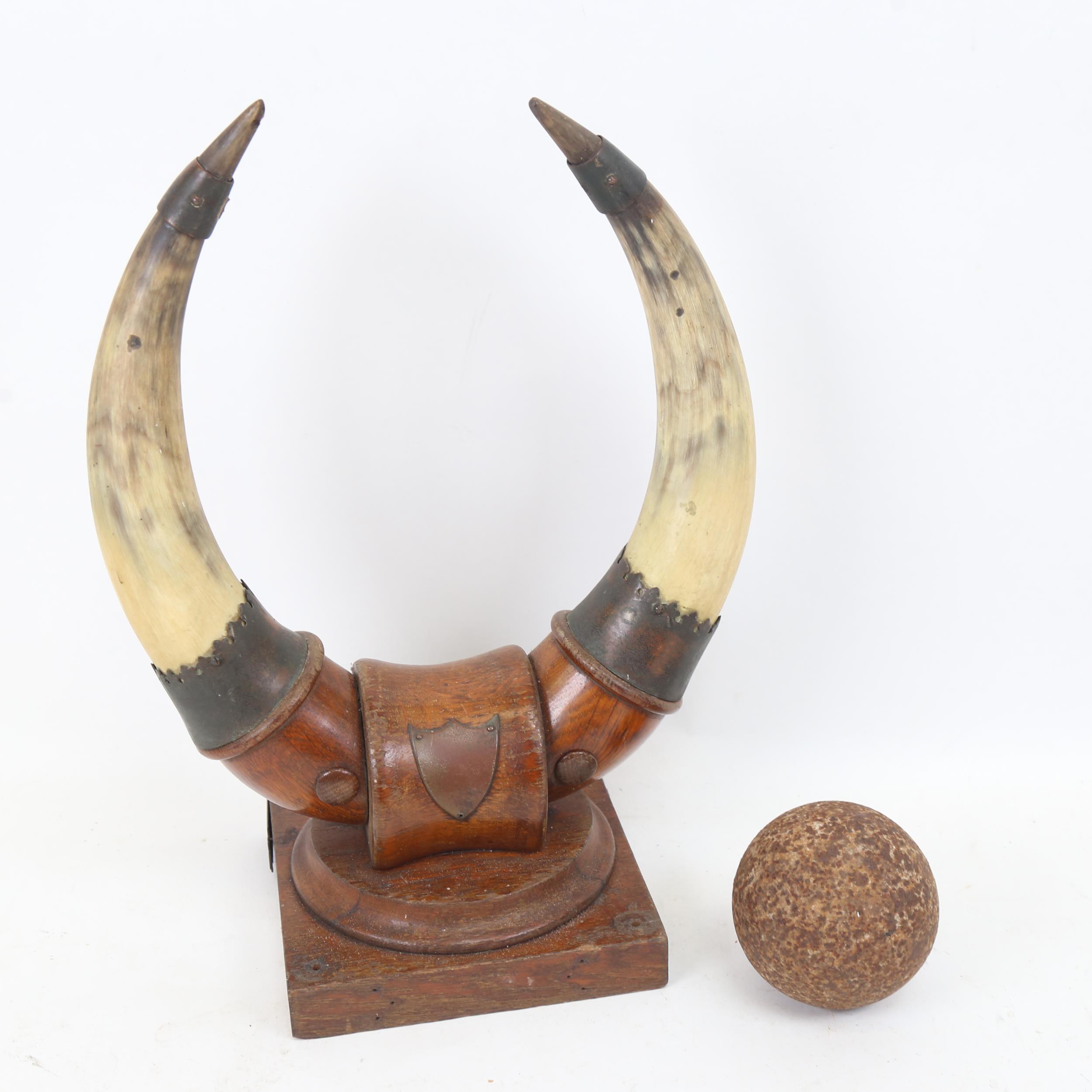 Cow horns mounted on oak plinth, with shield, height 34cm, and a cannonball