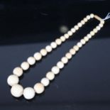 A turned ivory graduate ball necklace, length 52cm