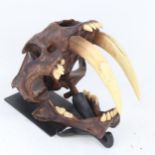 A resin model saber-toothed tiger skull, on wall-mounted bracket