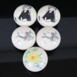 5 ceramic doorknobs, diameter 6.5cm (5) Yellow floral example has a couple of chips and hairline
