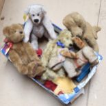 Various teddy bears and soft toy dogs