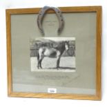 Tribute to Brown Bess Exmoor Pony, comprising monochrome photograph, horseshoe, lock of mane, and