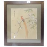 A Chinese hand coloured print, bird of paradise, 29cm x 35cm, framed