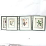 6 Antique floral coloured prints, framed, overall 43cm x 35cm (6)