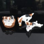 3 Royal Doulton dog figures, comprising HN1101 laying Terrier, HN1097 Terrier with ball, and