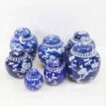 7 Chinese blue and white ginger jars, with prunus decoration, tallest 16cm