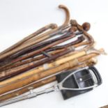 A quantity of Vintage walking and trekking sticks, a shooting stick, and silver-topped cane