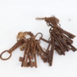 A collection of Antique steel keys