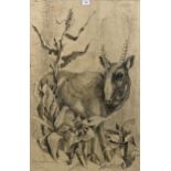 Saiga Kazakhstan, charcoal on handmade paper, antelope, signed and dated '75, 87cm x 58cm, framed