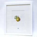 Contemporary watercolour, study of a pear, framed, overall 52cm x 46cm