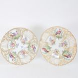 A pair of fine 19th century porcelain cabinet plates, with gilded relief moulded borders and hand