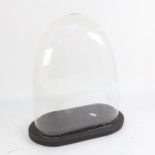 Glass dome and painted wood base, overall height 39cm