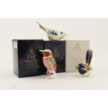 Three Royal Crown Derby bird paperweights comprising Mountain Bluebird, length 13.5cm, Humming Bird,