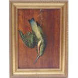 Manner of Michaelangelo Meucci (1840-1909), Still life of a kingfisher, oil on panel, signed with