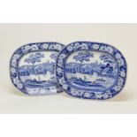 Matched pair of Staffordshire blue and white printware meat plates, circa 1830-50, in the Wild