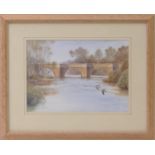 Philip Snow (Contemporary), 'Sand martins, River Dee, Holt and Farndon', signed and titled