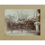 H. Bray - Black and white photograph - "Barker & Cobb Bakery" - Loaded horse drawn cart with three