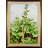 ***Barry Kirk (born 1933) - Watercolour- "Rhubarb" - A patch of rhubarb going to seed, signed in