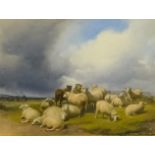 Thomas Sidney Cooper (1803-1902) - Oil painting- "A Group of Sheep" - Small flock of sheep in